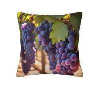 CNTDBU Funda de cojín de felpa de doble cara con diseño de uvas del desierto, funda de almohada cuadrada suave y acogedora con cremallera oculta, funda de almohada decorativa para cama, sofá o coche