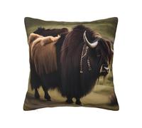 CNTDBU Mighty Highland Yak - Funda de cojín de felpa de doble cara, funda de almohada cuadrada suave y acogedora con cremallera oculta, funda de almohada decorativa para cama, sofá o coche