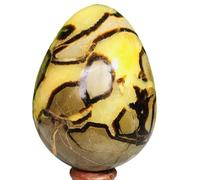 CNTUSRXT 1pc 700-750g Turtle Back Stone Egg Shape Dragon Crystal Crack Gemstone Stone