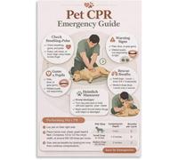 CNTUSRXT Canine Feline CPR Poster Pet First Aid Emergency Procedure Wall-Art(Framed,16x24inch(40x60cm))