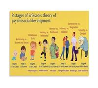 CNTUSRXT Eriksons Psychosocial Stages Psychology Reference Chart Educational Poster for Study Room(Unframed,16x24inch(40x60cm))