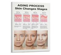 CNTUSRXT Skin Maturation Poster Aging Process Guide Educational Chart | Illustrates the chronological aging process of human skin from youth to maturity(Framed,16x24inch(40x60cm))