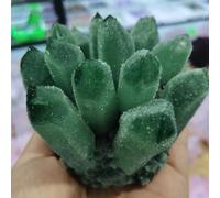 CNTUSRXT Stone Green Ghost Quartz Crystal Cluster Decorative Aquarium(350-400g) Gemstone Stone