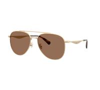 Coach Hombre Sunglass CDP40 - Color del Marco: Satin Light Gold, Color de la Lente: Marrón liso