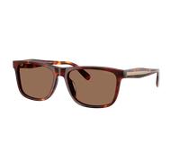 Coach Hombre Sunglass HC8454U CDP55 - Color del Marco: Walnut Tortoise, Color de la Lente: Marrón liso