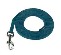 Correa Coachi Puppy & Mini Training Line, enseñar a Hacer Sus Necesidades, Evitar Saltos, escaparse, Evitar Lugares, Masticar, Modales, Ligera para Interior. para Cachorros y Perros recién adquiridos