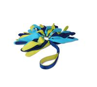 Coachi Tuggi Spider juguete con flecos para perros