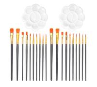 COACOM 20 Piezas De Pintura Y 2 Piezas De Paleta De Plástico, Herramientas De Pintura, Accesorios para Manualidades De Bricolaje, Placa De Pigmento.