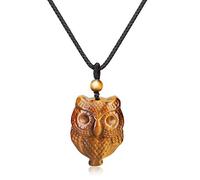 COAI Collar con Colgante Búho Unisex de Ojo de Tigre Piedra Natural
