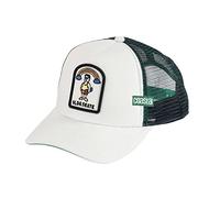 Coastal Old & Skate White HFT Trucker Cap - One-Size
