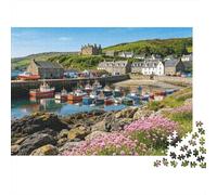 Coastal Village Jigsaw Puzzle 1000 Pieces Recycled Material Fishing Village Puzzles para Boy & Girl Ages 6 Years Up Educativo Game Challenge Parent Child Toy 38x26cm/1000pcs