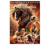 Cob irlandais (Calendrier de bureau 2026 DIN A5 horizontal), CALVENDO calendrier mensuel: Découvrez la beauté majestueuse des chevaux Cob irlandais
