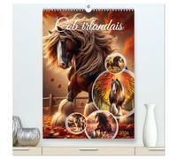 Cob irlandais (Calendrier mural 2026 DIN A2 horizontal) calendrier de bureau: Découvrez la beauté majestueuse des chevaux Cob irlandais