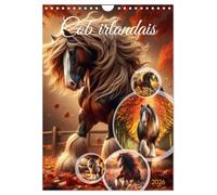 Cob irlandais (Calendrier mural 2026 DIN A4 horizontal), CALVENDO calendrier mensuel: Découvrez la beauté majestueuse des chevaux Cob irlandais
