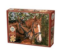 Cobble Hill 3848017 Pferdefreunde, 275 Puzzle, KinderPuzzle con Piezas Grandes, Incluye póster de Puzzle, para niños a Partir de 9 años, puzle de Caballos, Caballos