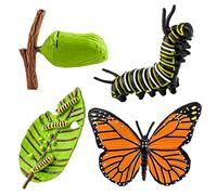 cobee Figuras de Insectos Ciclo de Vida de Mariposas Modelo de Crecimiento, 4 Piezas de Aprendizaje Preescolar enseñanza Ciclo de Crecimiento de Insectos Modelo de Juguete Figuras de Animales
