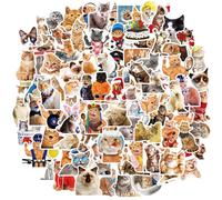 Cobee Juego de calcomanías divertidas de gato, 50 piezas de calcomanías de vinilo impermeables y bonitas, calcomanías estéticas para amantes de gatos, botella de agua, álbum de recortes, teléfono