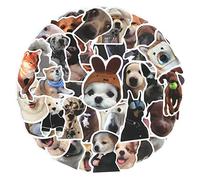 Cobee Juego de calcomanías divertidas para perros, 50 calcomanías de vinilo impermeables, calcomanías estéticas para los amantes de los perros, botella de agua, álbum de recortes, teléfono