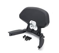 Cobertor asiento individual Asiento De Motocicleta, Asiento Trasero De Pasajero, Cojín De Respaldo, Almohadilla De Respaldo Para NSS 350 NSS350 2023