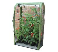 Cobertura de polietileno Haxnicks Tomate Crop-Booster | L 100 cm x W 50 cm x H 160 cm | MARCO220101, verde/transparente