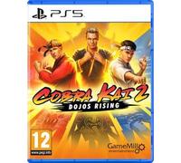 Cobra Kai 2 Dojos Rising Playstation 5 standard