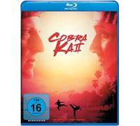 Cobra Kai Season 2 (Blu-ray) Macchio Ralph Zabka William Henggeler Courtney Kove