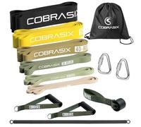 COBRASIX Bandas de resistencia para entrenar hombres y mujeres | Juego de 6 bandas de resistencia con accesorios y barra | levantamiento de potencia, estiramiento, WOD, entrenamiento de fuerza y