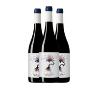 Coca i Fitó Samsara Priorat Crianza 75 cl Vino tinto (Caja de 3 Botellas de 75 cl)