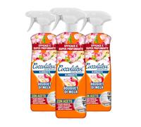 COCCOLATEVI BloomAceto Bouquet de Manzana, Pack de 3 x 750 ml, Detergente Antical natural con Vinagre, Limpiador Multiusos para Superficies Brillantes y sin Manchas