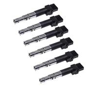 Coche Bobinas encendido Compatible Con VW Para Golf IV 1J1 3.2 R32 4motion 2002 2003 2004 2005 6 Piezas Bobina Encendido Coche OEM: 022905100B 022905100E 022905100H