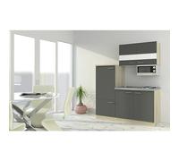 Cocina compacta Luis (Ancho: 160 cm, Gris, Placa de cocción, frigorífico y microondas)