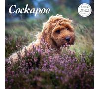 Cockapoo - Calendario de lujo 2026