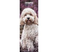 Cockapoo - Calendario delgado 2027