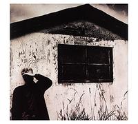 Cockburn, Bruce - Nothing But a Burning Light