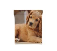 Cocker Spaniel Cachorro Spaniel Pequeño Perros Mascotas, Squeeze Top Wallet Bolsa de Almacenamiento para Mujer Monedero pequeño Bolsa de Cambio