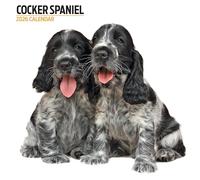 Cocker Spaniel - Calendario moderno 2026