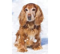Cocker Spaniel Dog in Snow Journal: Hardcover, 6 x 9 Inches, 180 Pages, Blank Lined Notebook, Matte Finish. Animal and Dog Lovers, Friendly Cute Dogs, ... Wellness and Stress Management Journals