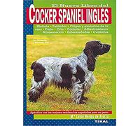 Cocker Spaniel Ingles
