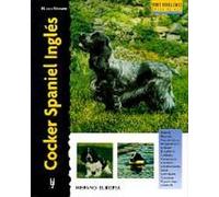 Cocker Spaniel Inglés (Excellence)
