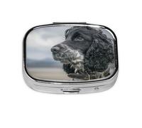 Cocker Spaniel Inglés Orejas Grandes Y Rizadas Negro, Pastillero cuadrado para bolsillo o monedero, pequeño contenedor de pastillas, organizador de pastillas de viaje