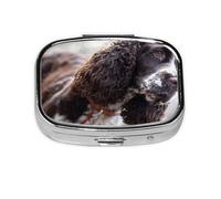 Cocker Spaniel Inglés Perros Rizados Blanco Pardusco, Pastillero cuadrado para bolsillo o monedero, pequeño contenedor de pastillas, organizador de pastillas de viaje