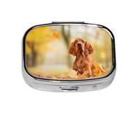 Cocker Spaniel Otoño Parque Perros Spaniel Marrón, Pastillero cuadrado para bolsillo o monedero, pequeño contenedor de pastillas, organizador de pastillas de viaje