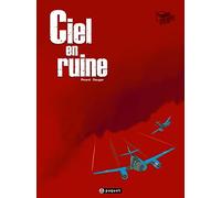 Cockpit: Ciel en ruine