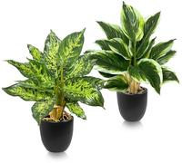 Coco Berming Set de 2 Plantas Artificiales en Maceta de Plástico, 39cm Pequeñas Plantas Decorativas para Interior, Escritorio, Salón u Oficina, Estilo Natural Fácil de Cuidar (Borde Blanco + Moteado)