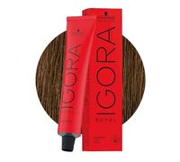 Schwarzkopf - Tinte Permanente Igora Royal 6-5 Rubio Oscuro Dorado 60 ml
