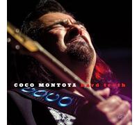 Coco Montoya - Hard Truth