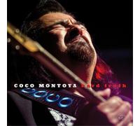 Coco Montoya Hard Truth (CD) Album (Importación USA)