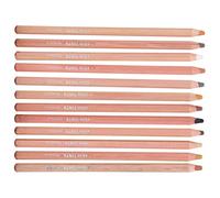 Cocoarm 12 Lápices Pastel, Libros para Colorear para Adultos, Colores Vibrantes, Lápiz de Dibujo, para Principiantes y Artistas Avanzados, Ideal para Dibujar e Ilustrar Retratos, Versátil para