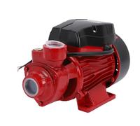 Cocoarm Bomba Centrífuga, Bomba de Agua de Hierro Eléctrica con Elevación Alta 50 L por Minuto para Riego de Césped y Uso Doméstico