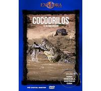 Cocodrilos, El Último Dragón